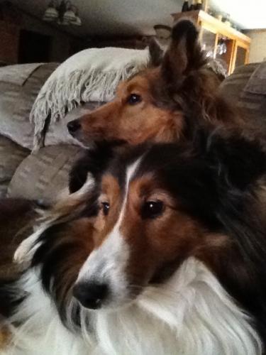 our babies