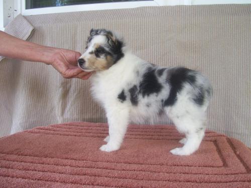 Our Dori as a baby