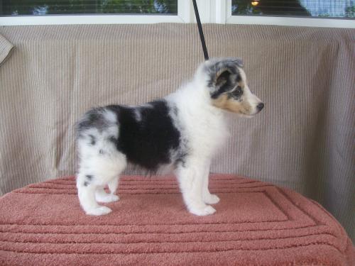 Our Dori as a baby
