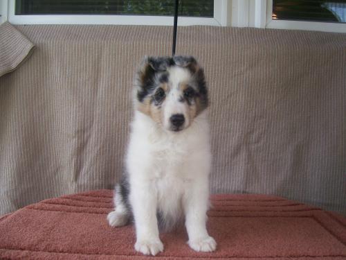 Our Dori as a baby