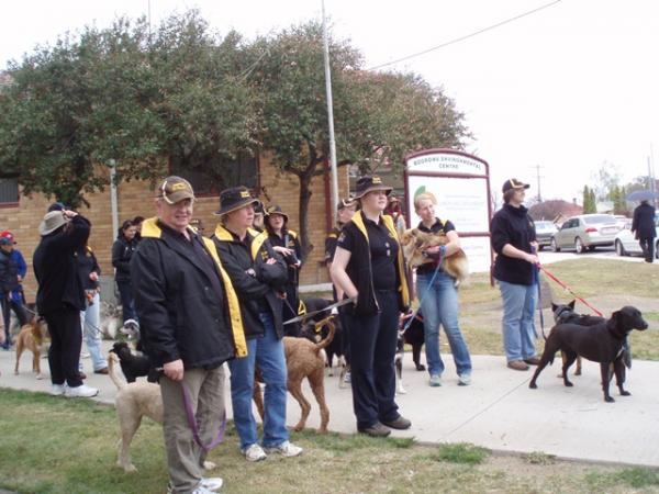 Our team the Belconnen Bullets waiting for the street parade.  That cute little sheltie in the middle is Rilly - Deska's new girlfriend.