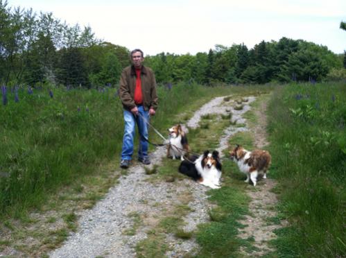 Path on Bar Island