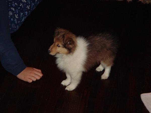 Photo25