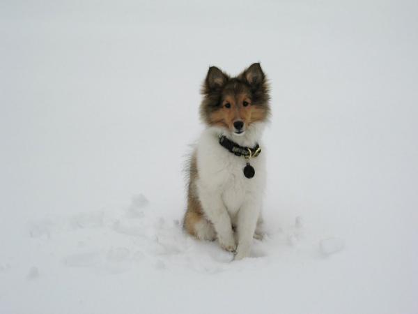Photo29