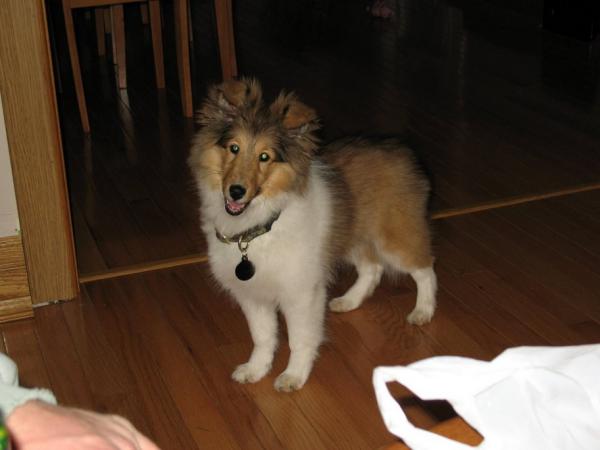 Photo31