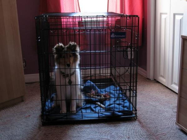 Photo32