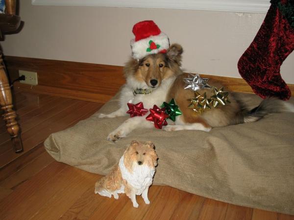Photo33