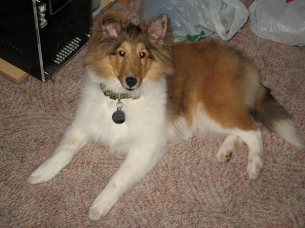 Photo38