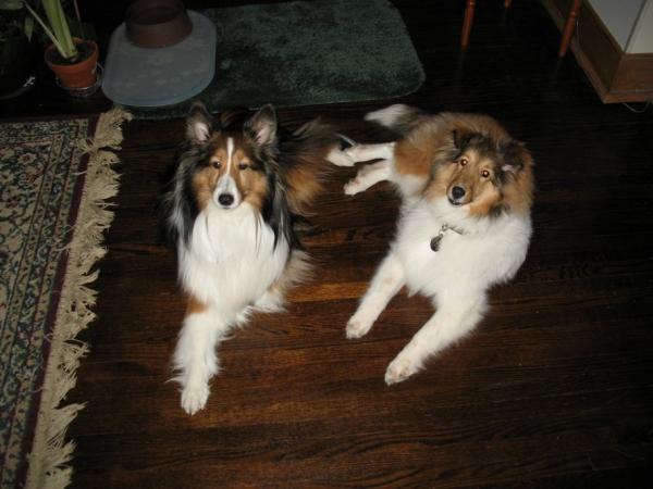 Photo40