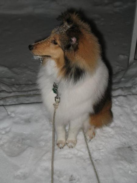 Photo43