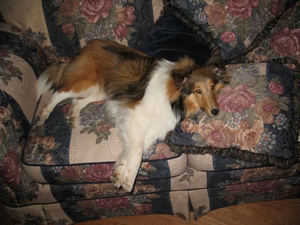 Photo45