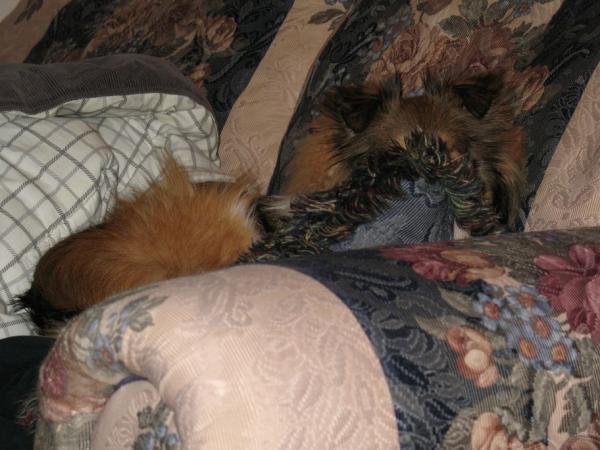 Photo47
