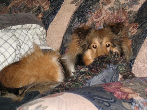 Photo48