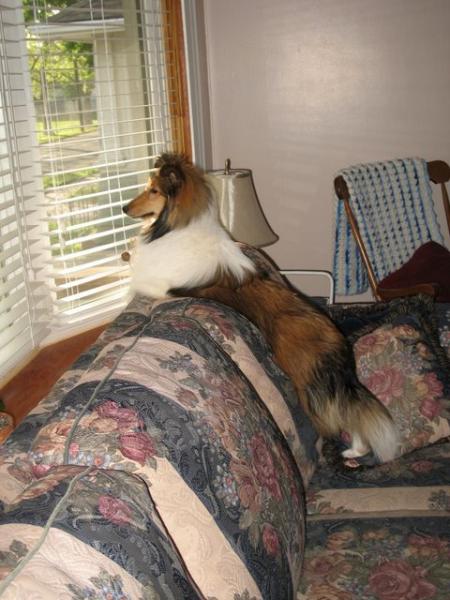 Photo51