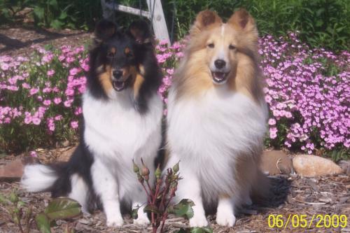 pike and diva