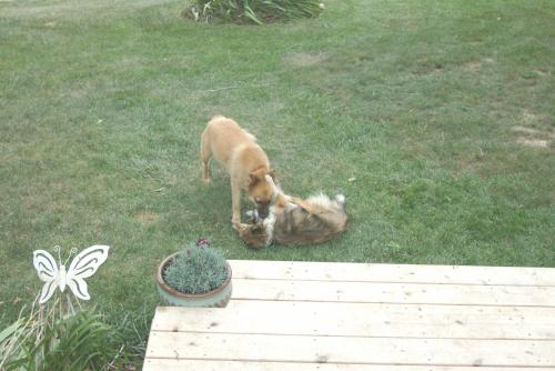 Play time!