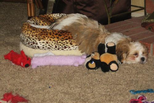 Played just a little too hard!