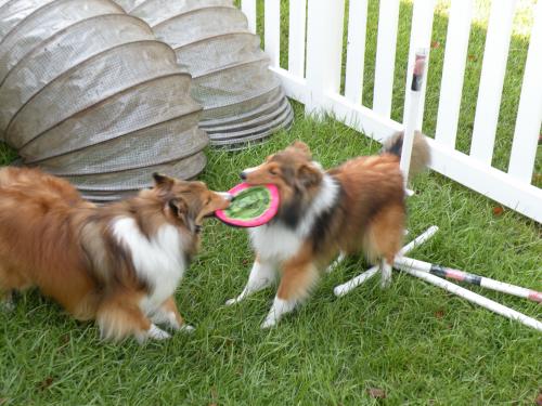 Playing