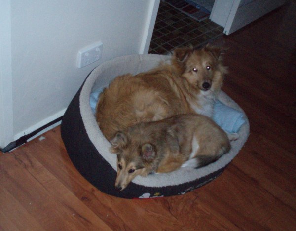 Please mum get Tully out of my bed