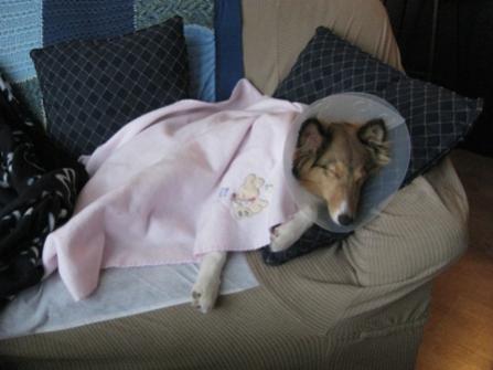 post op girl