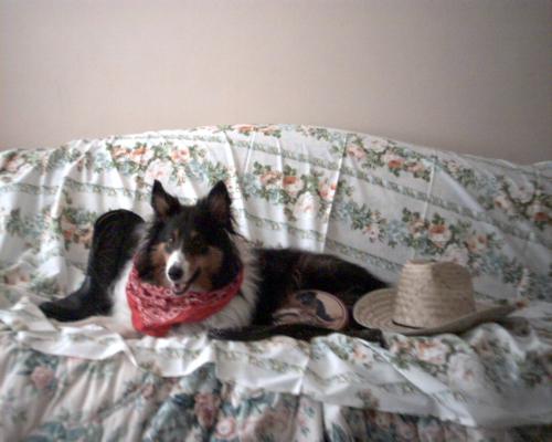 Probably around 2001 or 2002. My sister and I decided to do a photo shoot with poor Jasmine as the subject.