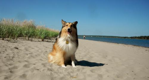Rainbow Haven Beach, summer 2012
