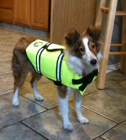 ready for canoe