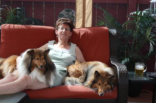 Relaxing with my Shelties