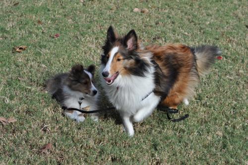 rest time over Dodger lets play