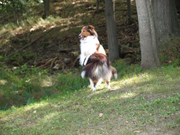 Ridem' horsey!