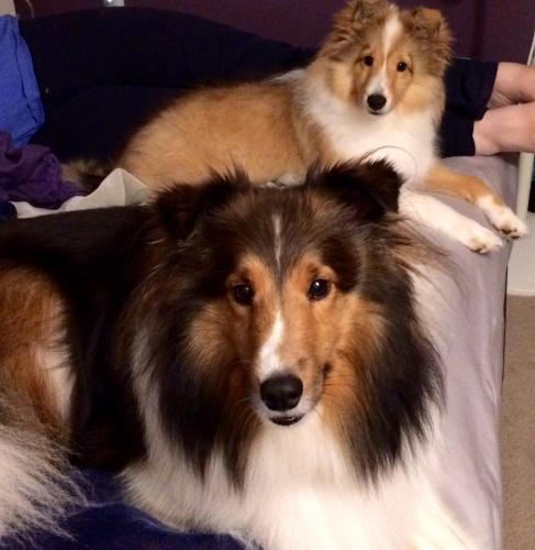 Riley and McGee
