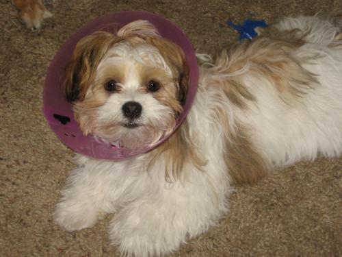 Rockin' the cone...