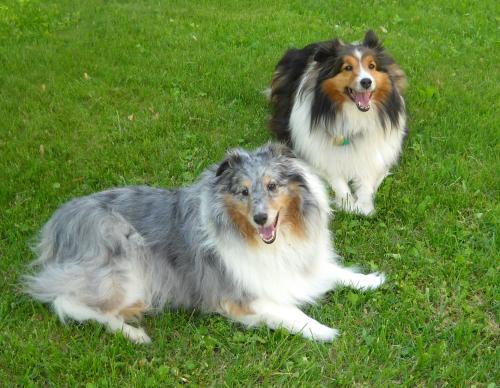 ROCKY ASHLEY JULY 2013 best pic