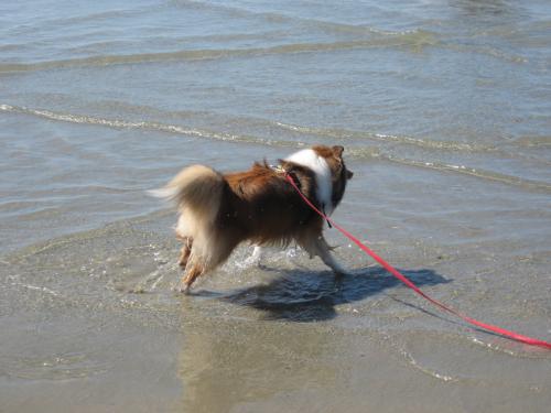 Rookie getting his feet wet.