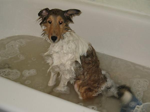 Sadie says "I give up, do whatever you want."