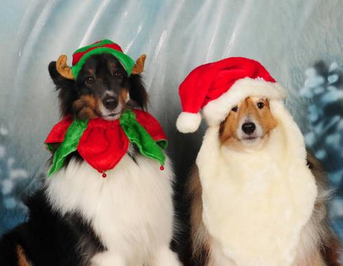 Santa Helpers