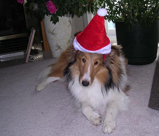 Santa's helper