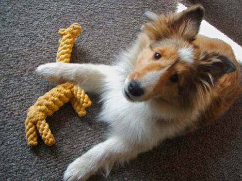 Second day at our house. He liked the giraffe!