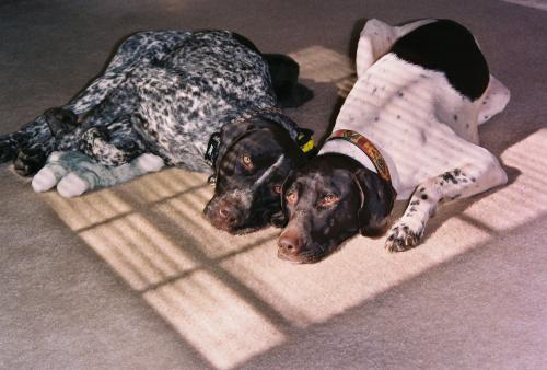 Senna & Kylie