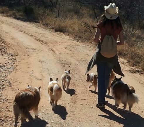 Sheltie Trails

(L to R) F-kap, Dixie, Ida, Sarah, and Jody (I'm the "non fluffy" one :P)