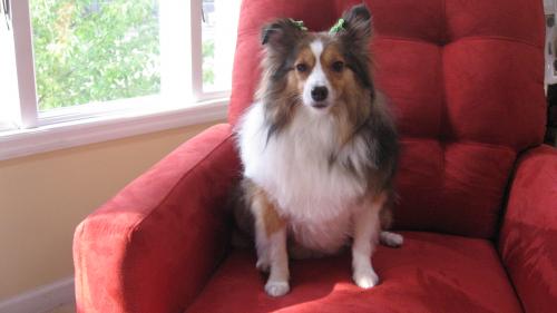 Sitting up nice and straight for mom.