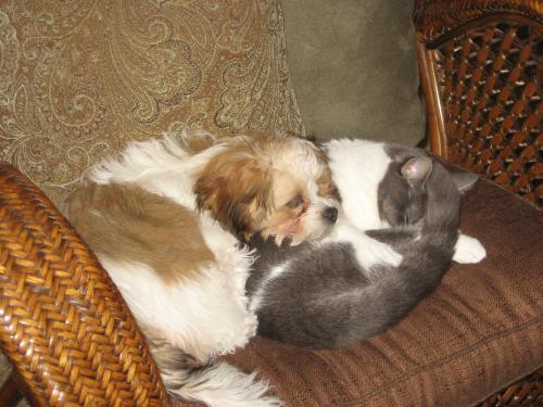 Sleeping with Lacey...