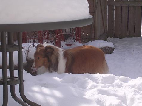 Snow is so good.