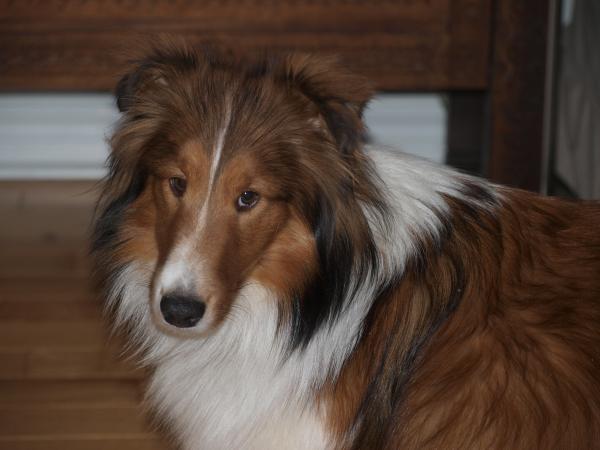 So sad eyes!