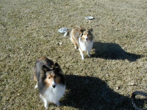 So throw it already, will ya!?!?