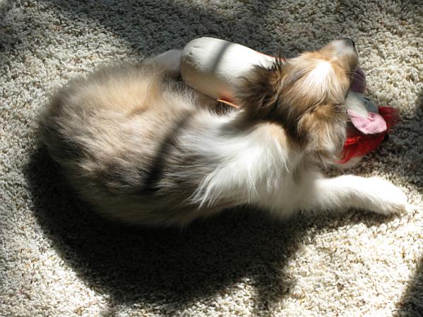 Sooooooooo tired!
