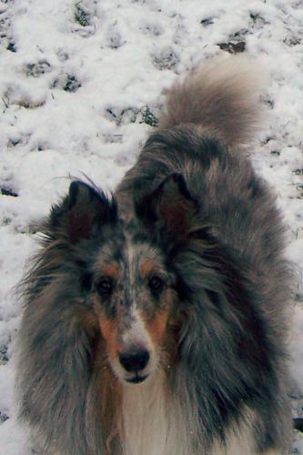Sophie 
she loved the snow