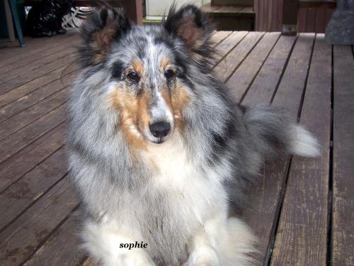 Sophie
so very sweet