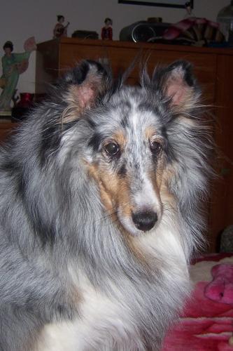 Sophie