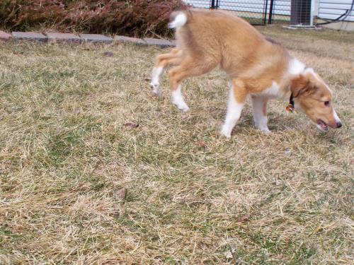 Spring is Here! *Zoom*